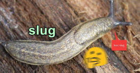 1753068738397.png