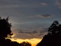 20250814_203025.jpg