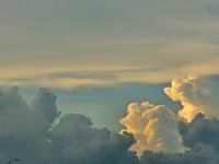 20250814_190322.jpg