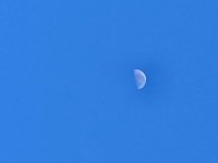 20250717_084321.jpg