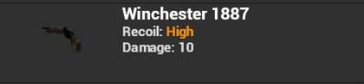 Winchester 1887.JPG