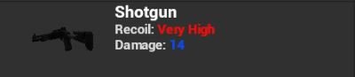 Shotgun.JPG
