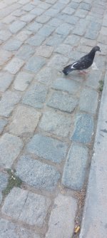 1759332937510.jpeg