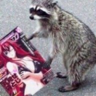 RaccoonwithSharingan